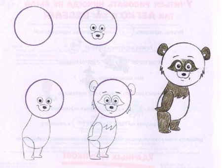 Как нарисовать мишку поэтапно для детей