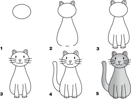 Уроки рисования кошек