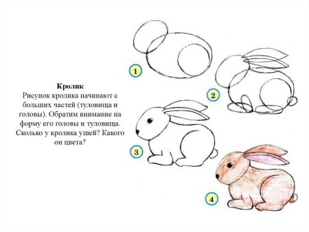 Поэтапное рисование слона для дошкольников