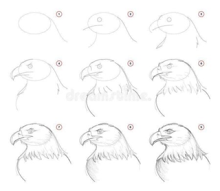 Схема рисования собаки для детей