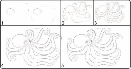 Осьминог поэтапное рисование