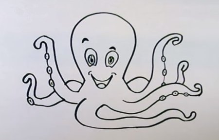 Поэтапное рисование осьминога для детей