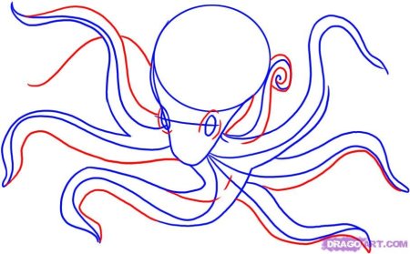 Срисовки осьминога легко и быстро нарисовать
