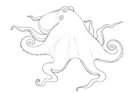 Осьминог поэтапное рисование