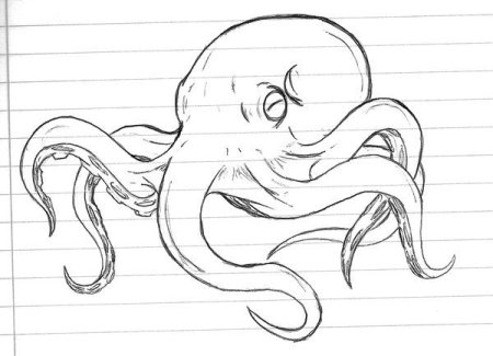 Осьминог карандашом профессионально