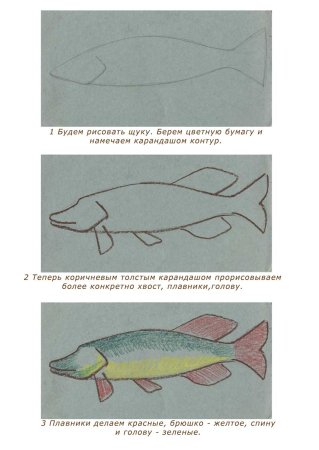 Рисование щука