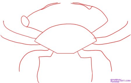 Рисунок краба для срисовки