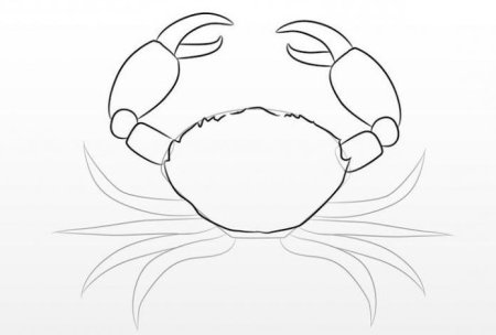 Краб рисунок поэтапно