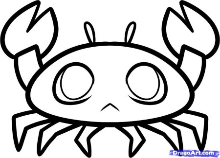 Поэтапное рисование морских обитателей для детей