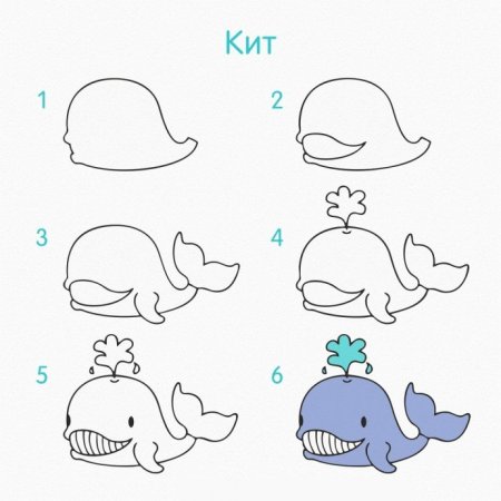 Краб Королевский снизу