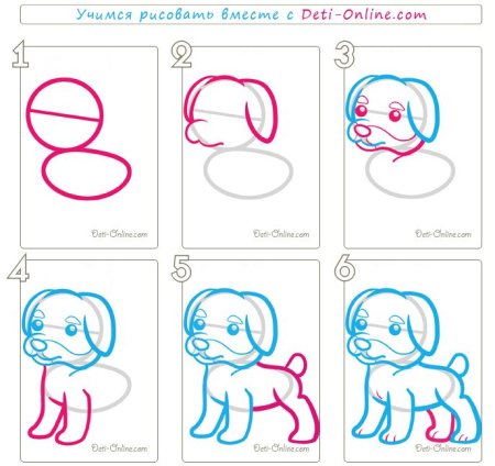 Поэтапный рисунок собаки для детей
