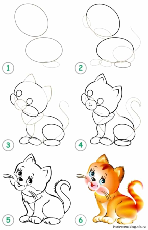 Алгоритм рисования кота для детей