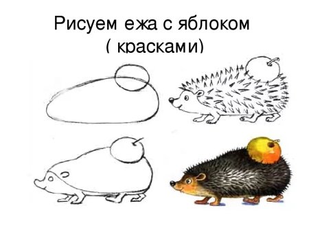 Как нарисовать ежика