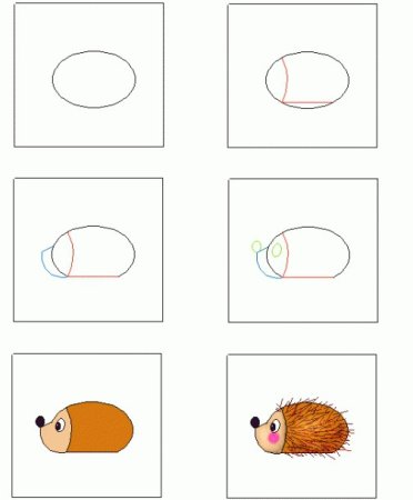 Этапы рисования ежика