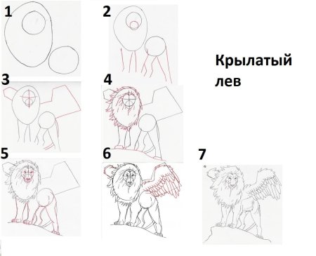 Поэтапное рисование Льва
