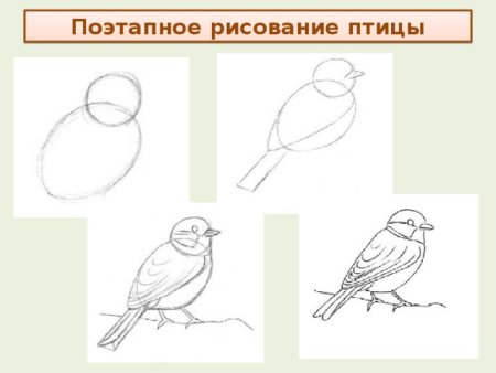 Синица раскраска