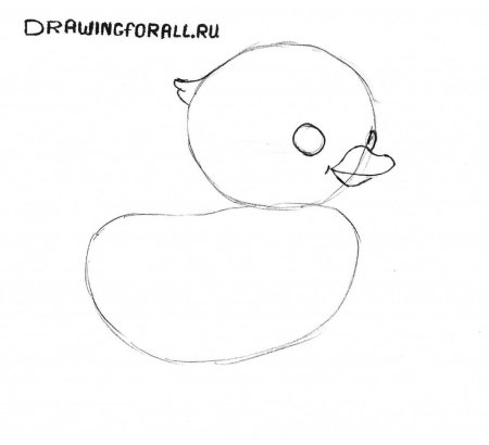 Поэтапное рисование цыпленка