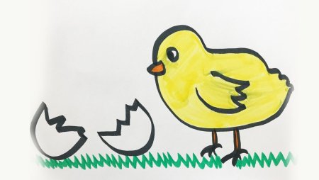 Схема рисования цыпленка для детей