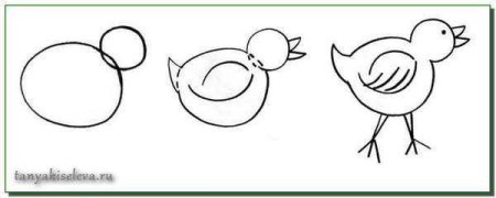 Силуэт цыпленка