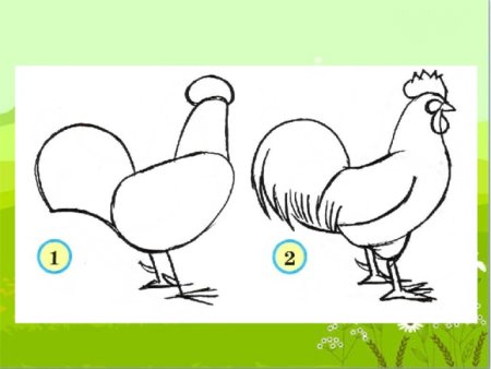 Рисование цыпленок