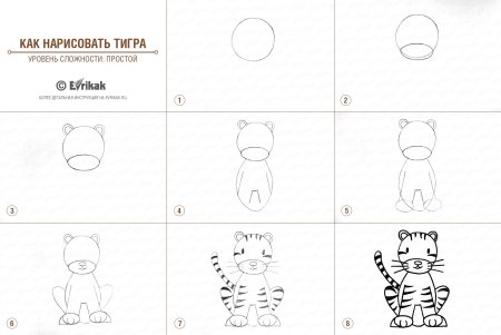 Поэтапное рисование тигренка для детей