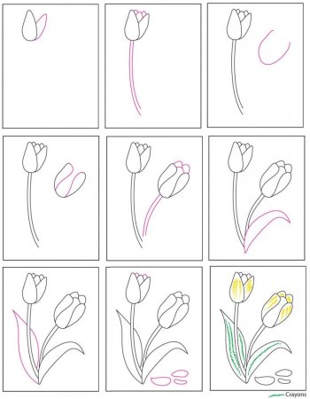 Рисование цветов