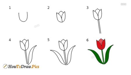Рисование цветов для дошкольников