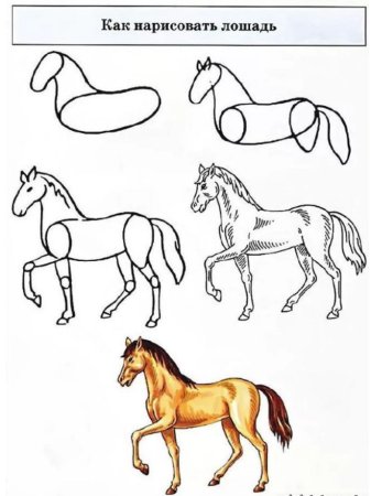 Как нарисовать лошадь