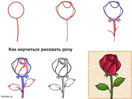 Роза рисунок пошагово