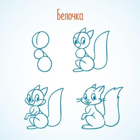Поэтапное рисование белки