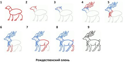 Как нарисовать оленя поэтапно