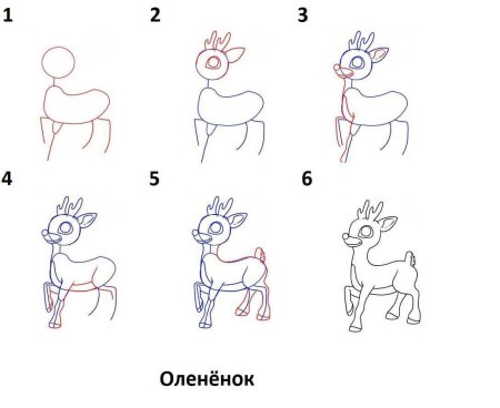 Поэтапное рисование оленя в подготовительной группе