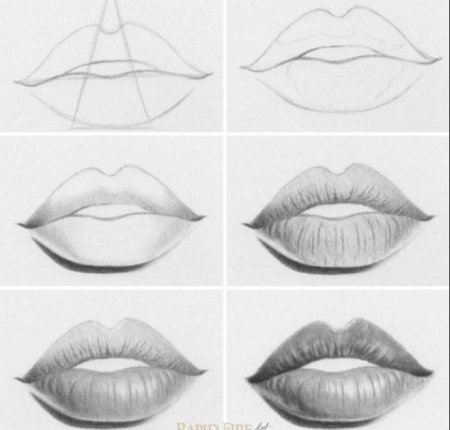 Губы карандашом для начинающих
