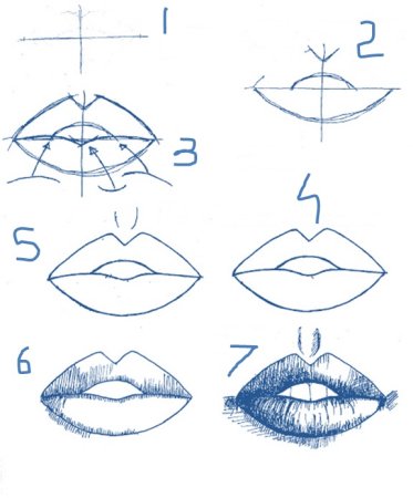 Как нарисовать губы