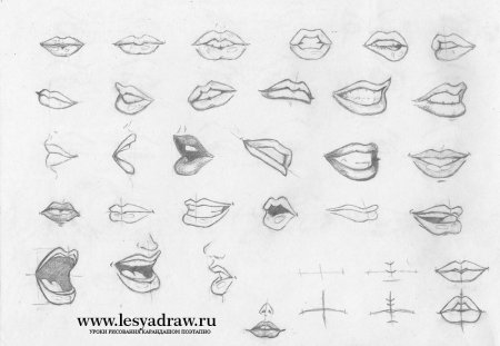 Нарисовать губы