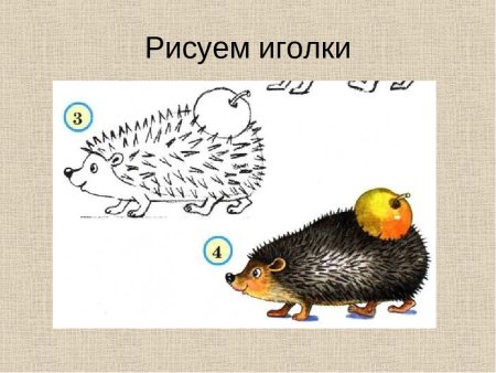 Поэтапное рисование ежика