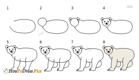 Медведь рисунок карандашом поэтапно