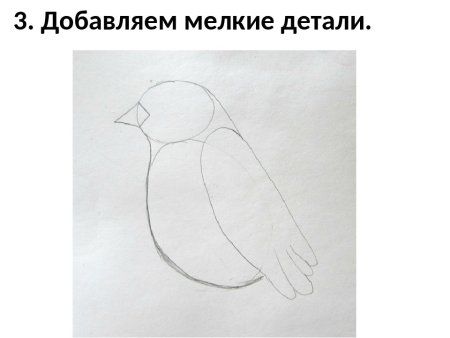 Пошаговое рисование птицы