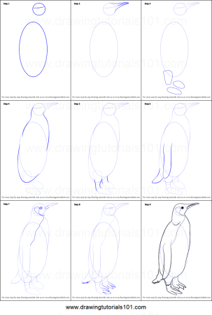 Пингвин пошаговое рисование