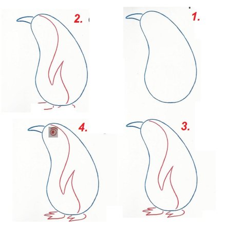 Поэтапное рисование моржа