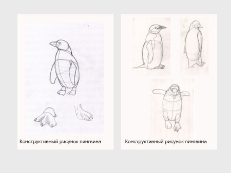 Схема рисования пингвина