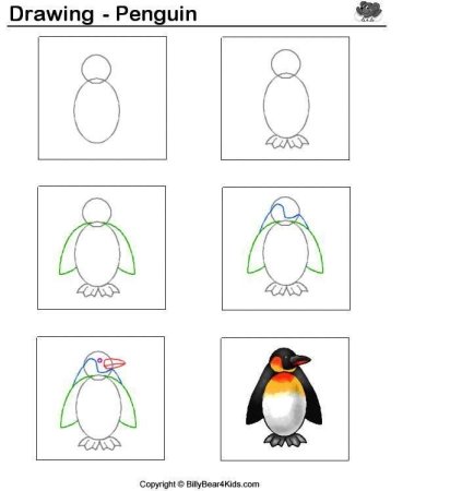 Пингвин пошаговое рисование