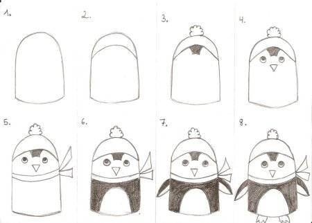 Морские котики рисунок для срисовки