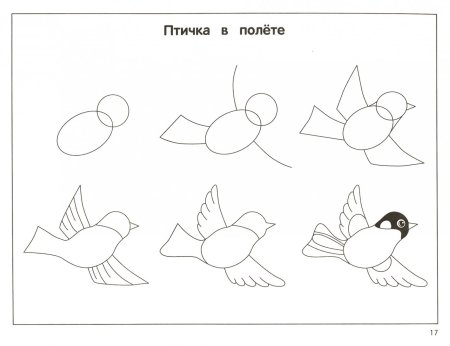 Поэтапное рисование птиц