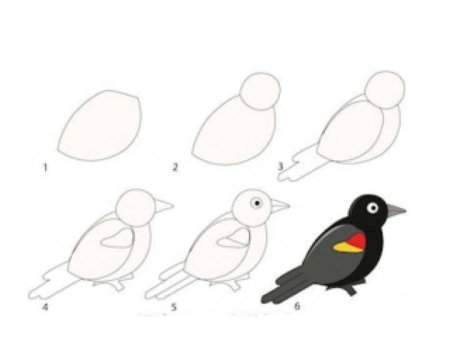 Рисование голубя поэтапно