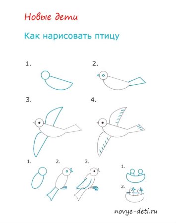 Рисуем утку поэтапно для детей