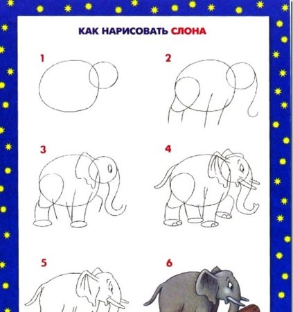 Рисование слона в старшей группе