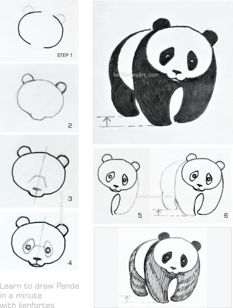 How to draw Panda Step by Step