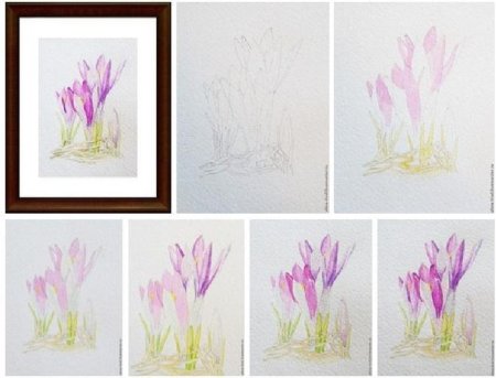 Этапы рисования натюрморта акварелью