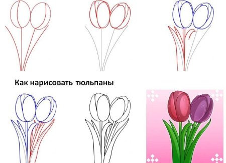 Поэтапное рисование весенних цветов